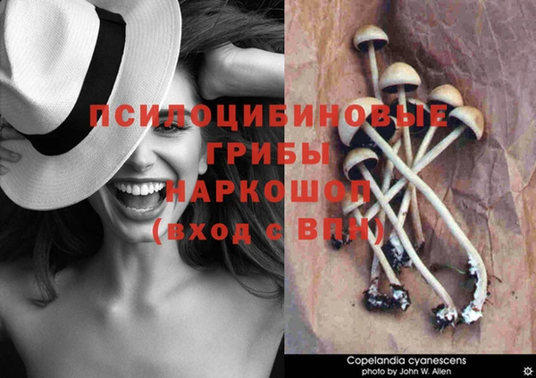 стафф Армянск