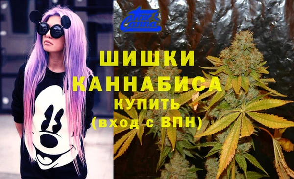 скорость Арсеньев