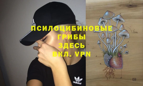 марки lsd Аркадак