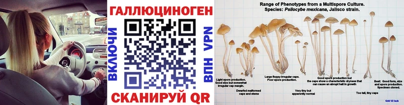 Псилоцибиновые грибы ЛСД  Светлоград 